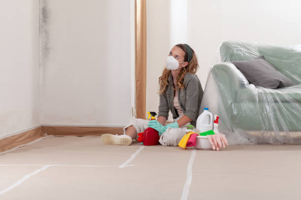 Reliable Mold Remediation contractor in Bear Lake, MI by WQB Mold Removal